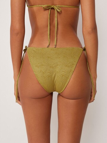 CALZEDONIA Bikini Bottoms 'Wild Jungle' in Green