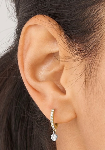 FOSSIL Earrings in Gold