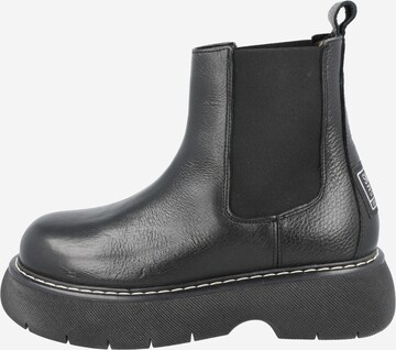 STEVE MADDEN - Botas Chelsea 'WINNER' en negro