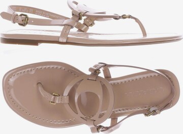 COACH Sandals & High-Heeled Sandals in 37,5 in Beige: front