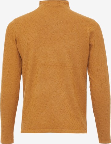 aleva Sweater in Brown