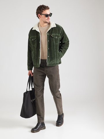 LEVI'S ® Демисезонная куртка 'Relaxed Fit Sherpa Trucker Jacket' в Зеленый