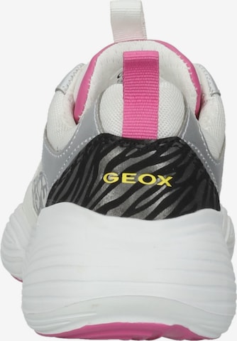 GEOX Sneaker in Mischfarben