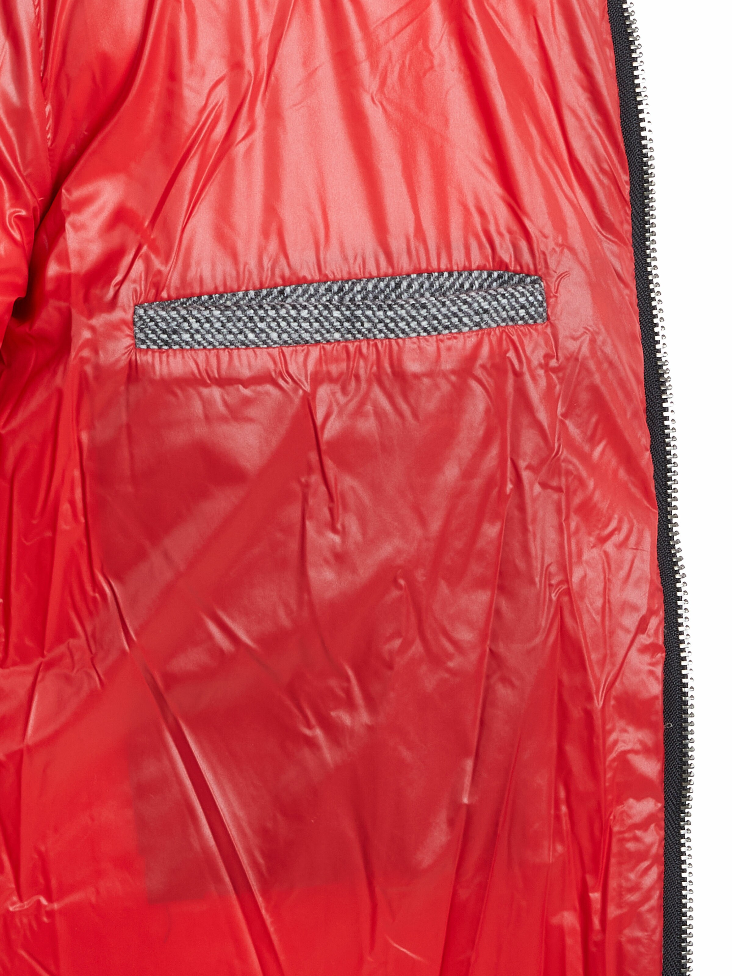 TOMMY HILFIGER Winterjas in Grijs