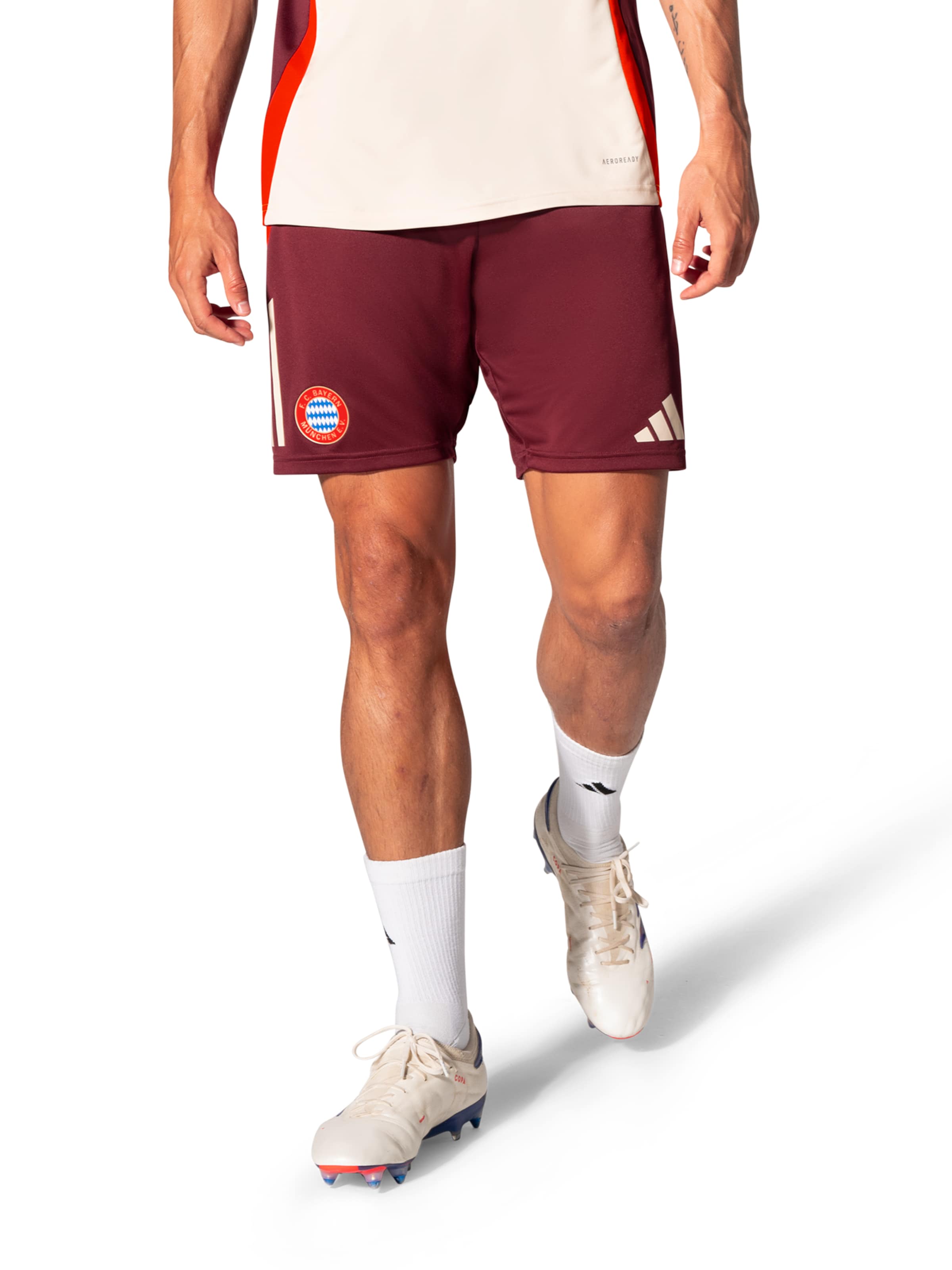 FC BAYERN MÜNCHEN Regular Workout Pants 'UCL Teamline' in Red: front