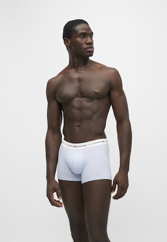 Tommy Hilfiger Underwear Boxer shorts in Blue