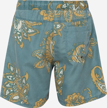 Cotton On Regular Shorts 'KAHUNA' in Grün