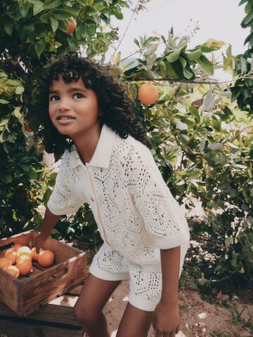 smėlio Next Rinkinys