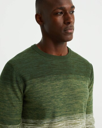 WE Fashion Sweater in Green