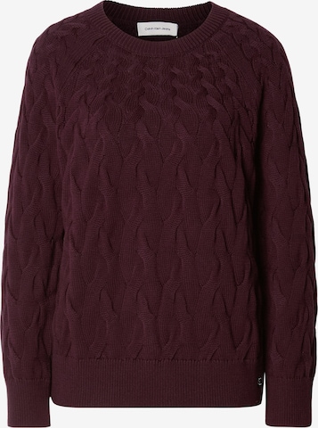 Pullover di Calvin Klein Jeans in lilla: frontale