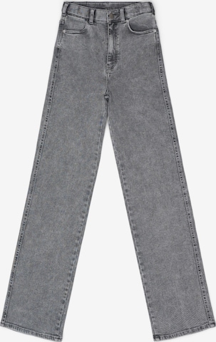 Dr. Denim Jeans 'Moxy High Straight' in Grey: front