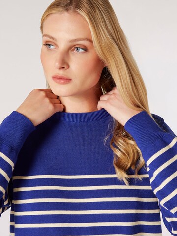 Apricot Sweater in Blue