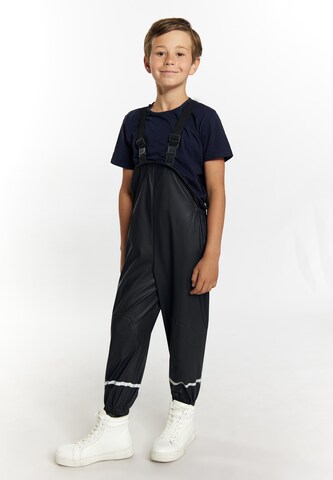 Schmuddelwedda Regular Weatherproof pants in Black