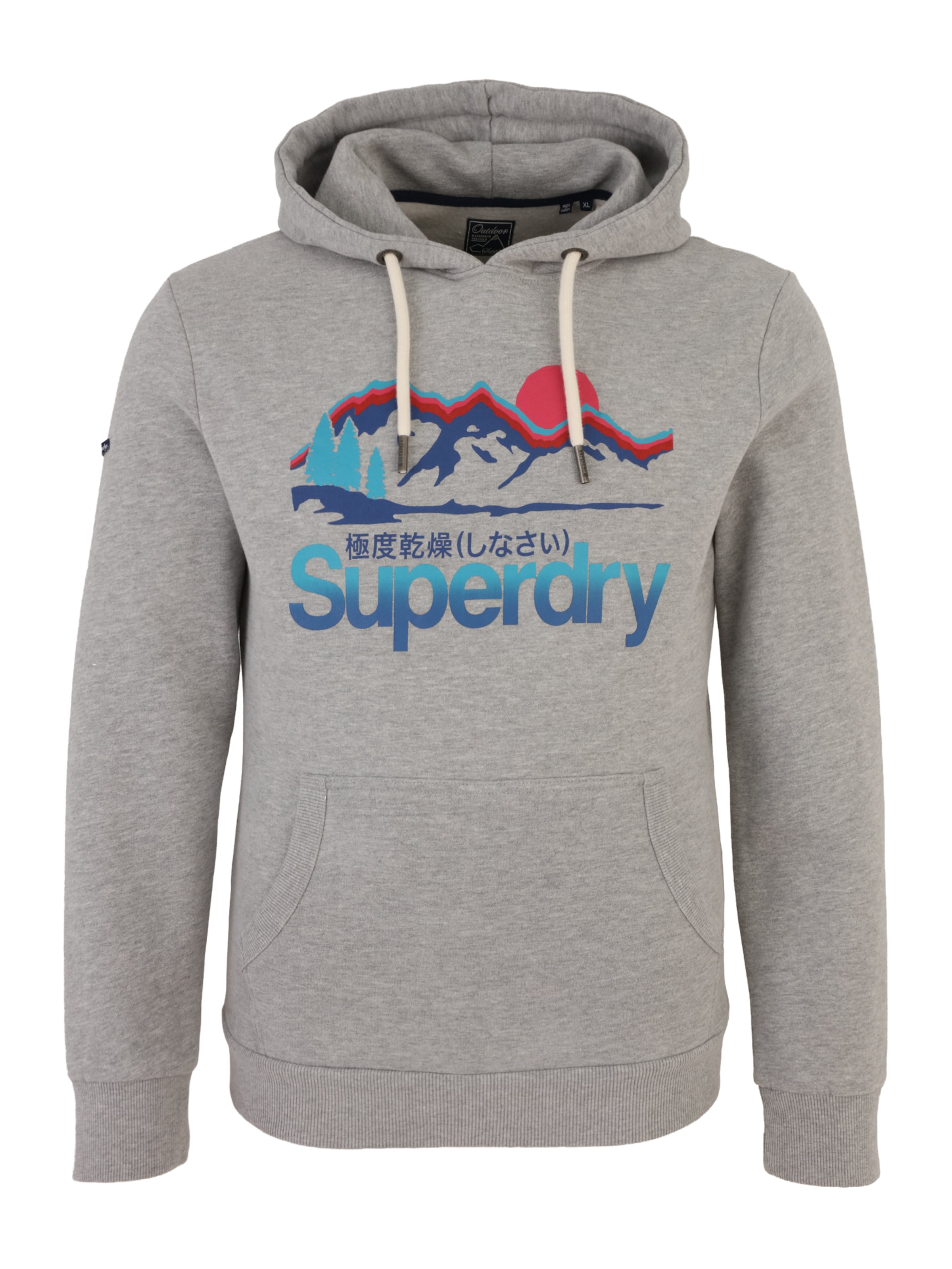 Superdry & Co Collegepaita värissä harmaa: etupuoli