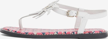 Tongs TOMMY HILFIGER en blanc : devant