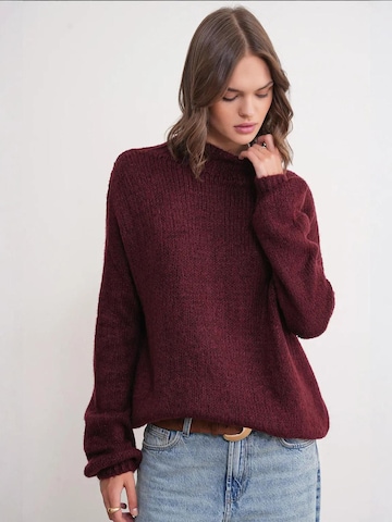 MixRay Sweter 'Pullover' w kolorze czerwony