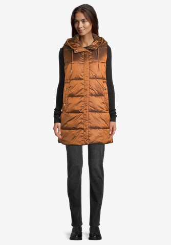 Betty Barclay Bodywarmer in Bruin