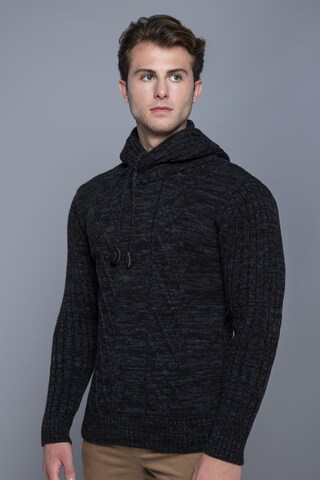 CARISMA Sweater in Grey: front