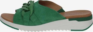 CAPRICE Mules in Green