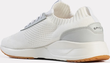 Spyder Platform trainers 'Cobra' in White