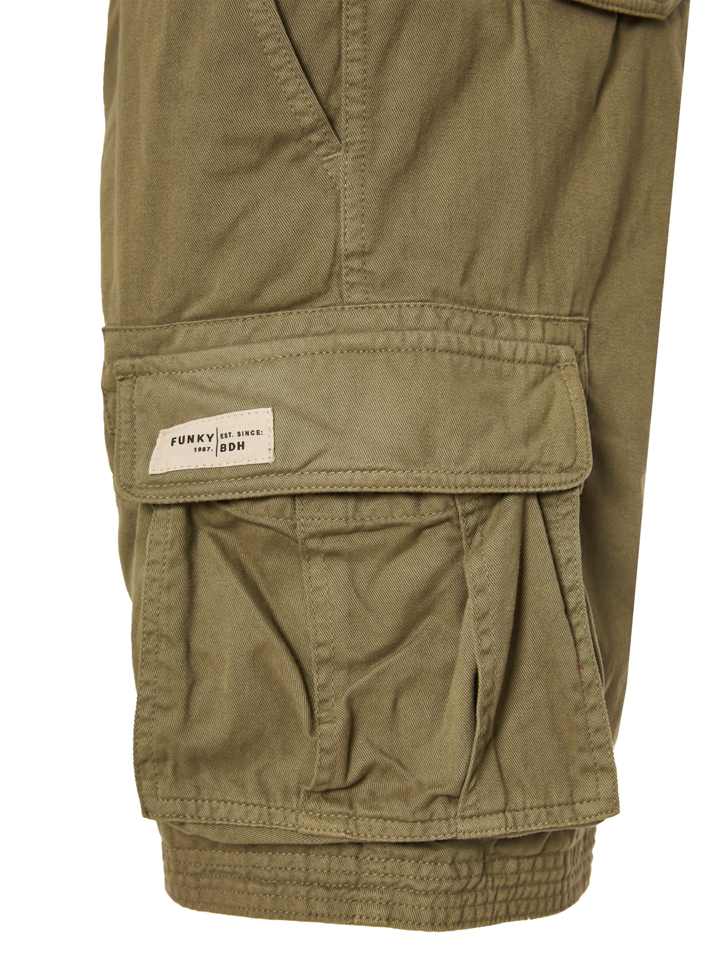 Funky Buddha Loosefit Παντελόνι cargo σε πράσινο