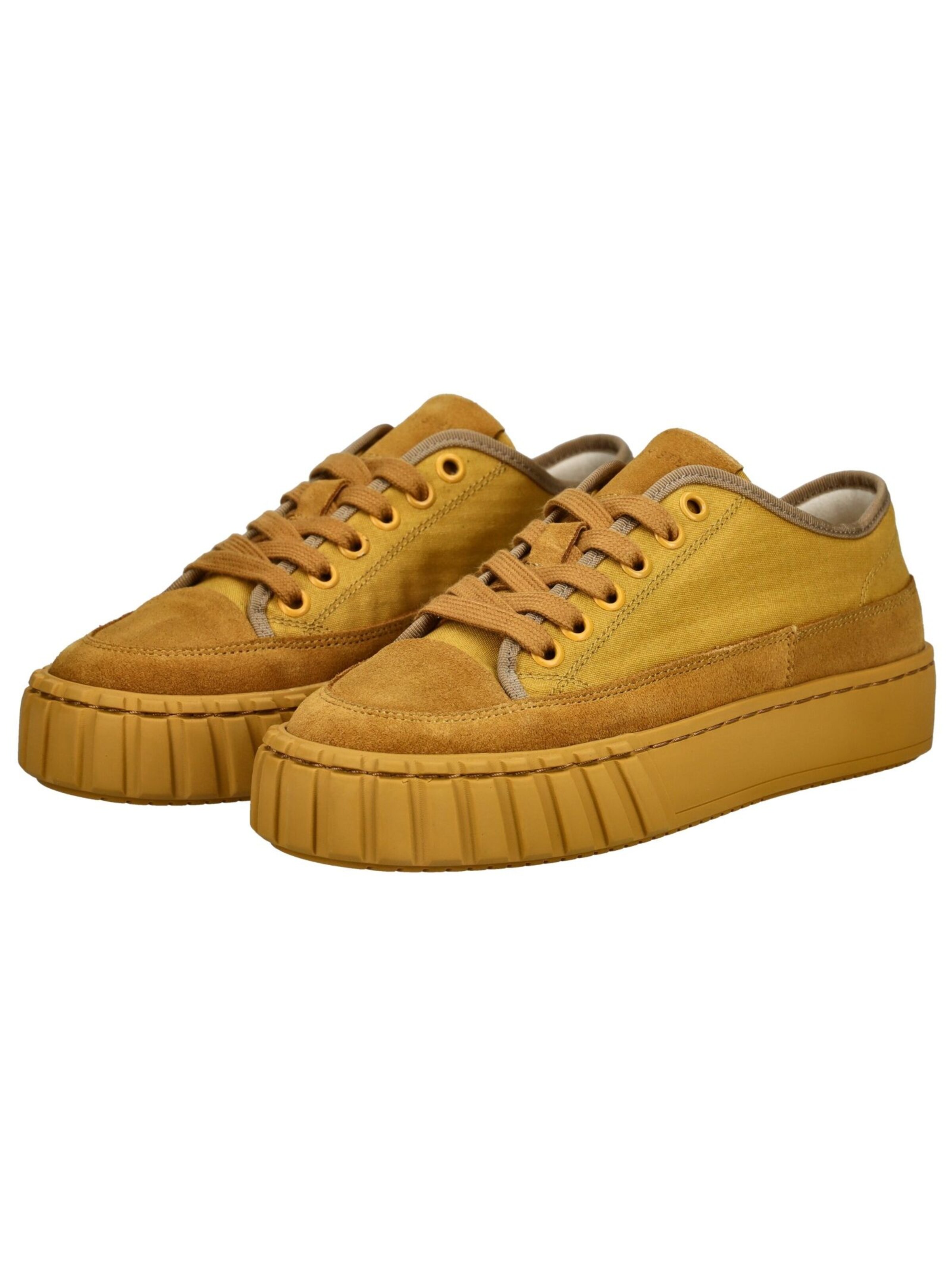 Baskets basses Sneaky Steve en marron