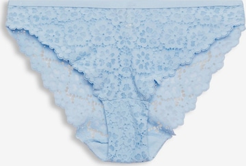 ESPRIT Panty in Blue: front