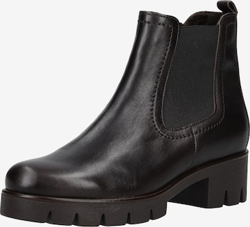 GABOR Chelsea Boots in Braun: Vorderseite