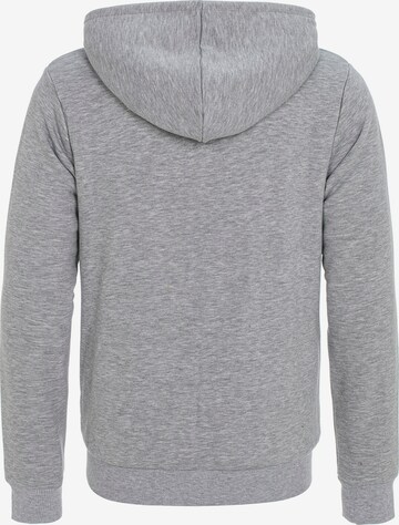 Redbridge Zip-Up Hoodie 'Birkenhead' in Grey