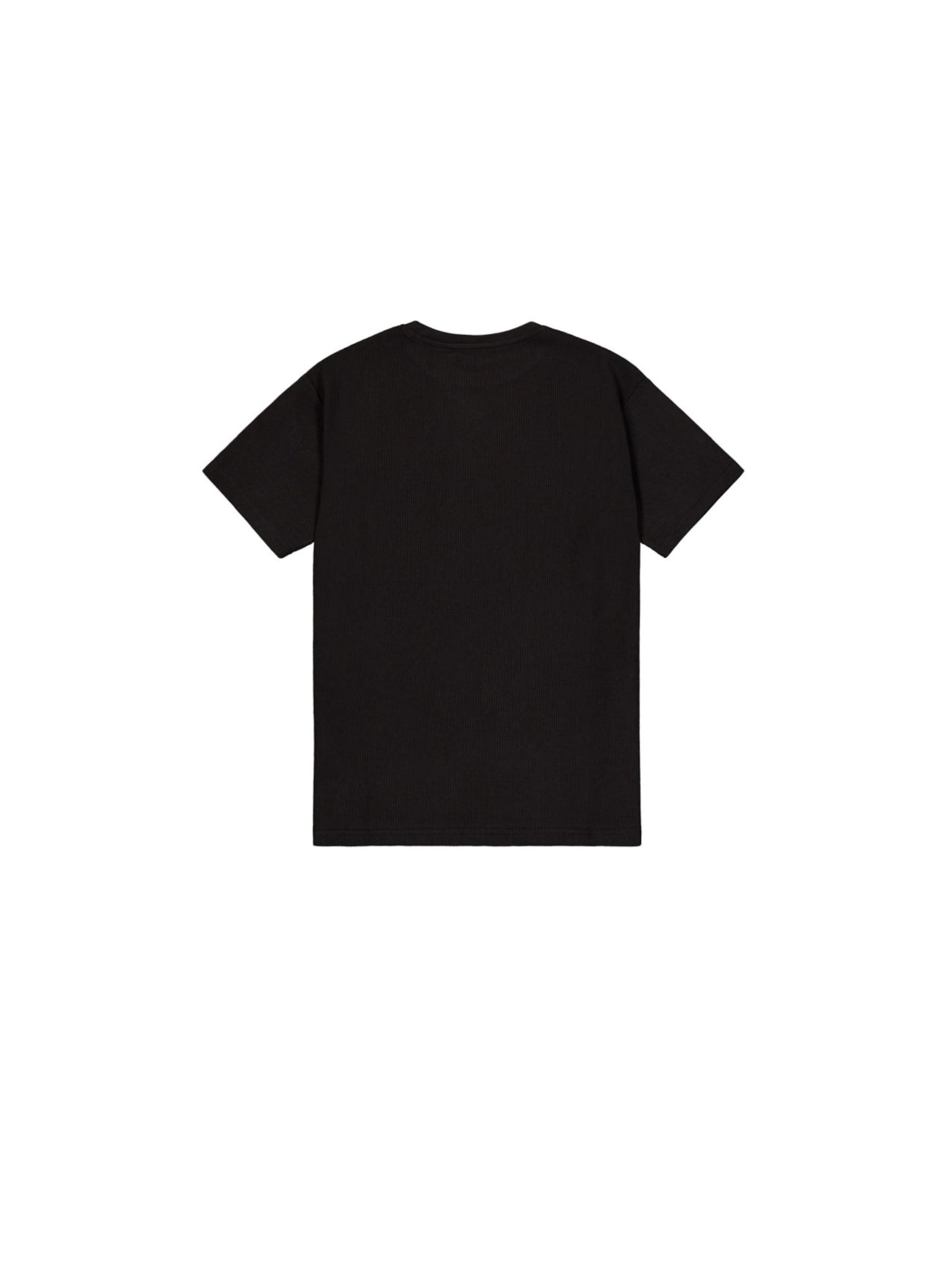 ALPHA INDUSTRIES Shirt in Black