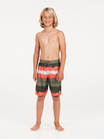 PROTEST Board Shorts 'PRTABEL JR' in Green