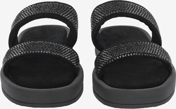 Apple of Eden Strap Sandals 'Clarice' in Black