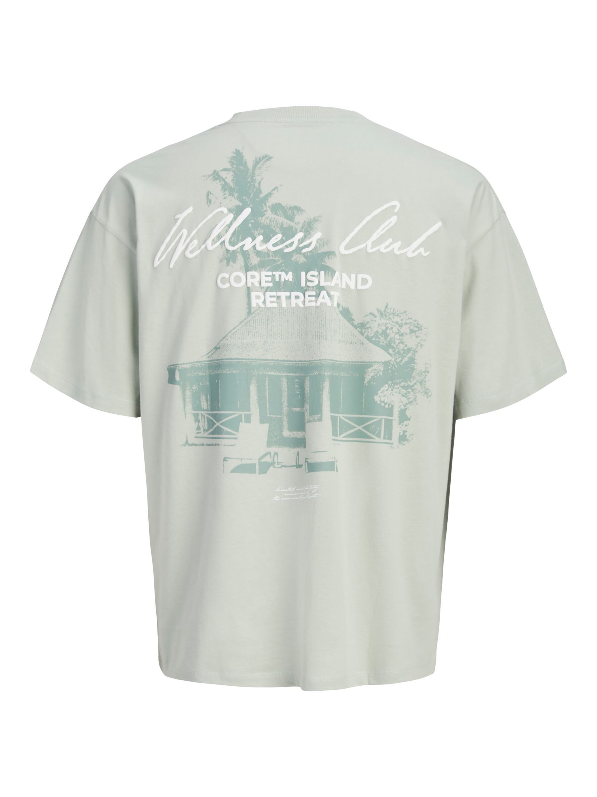 T-Shirt JACK & JONES en vert : devant