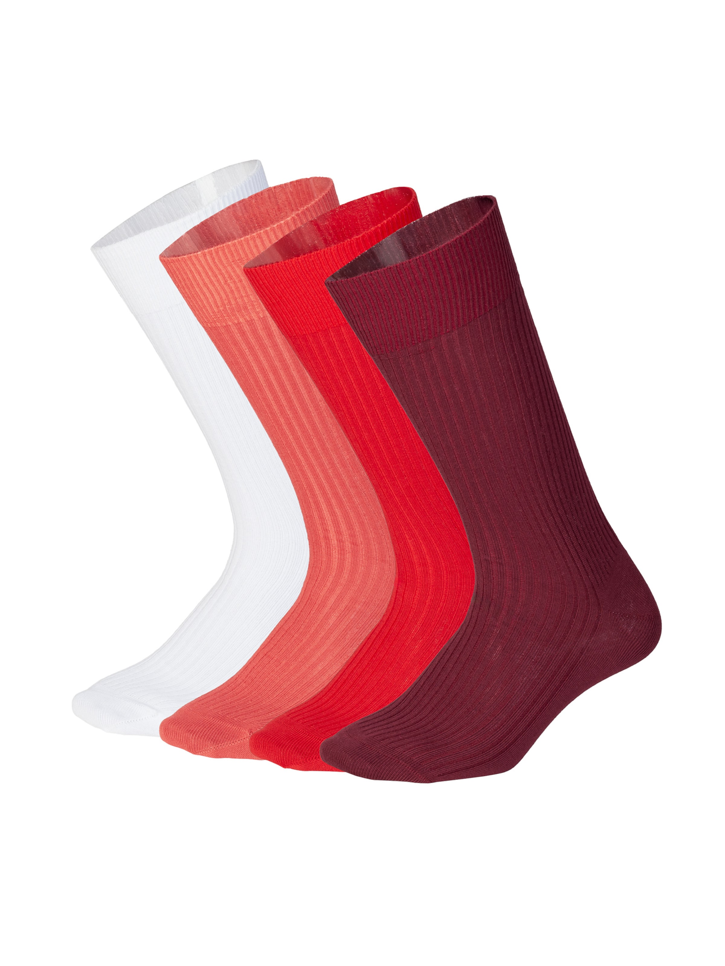 Chaussettes 'Ribbed Just Red' DillySocks en mélange de couleurs : devant