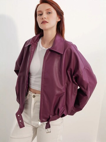 Veste d’hiver 'Jacken' Bigdart en violet