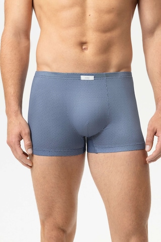 Mey Boxer shorts 'Curved Lines' in Blue: front