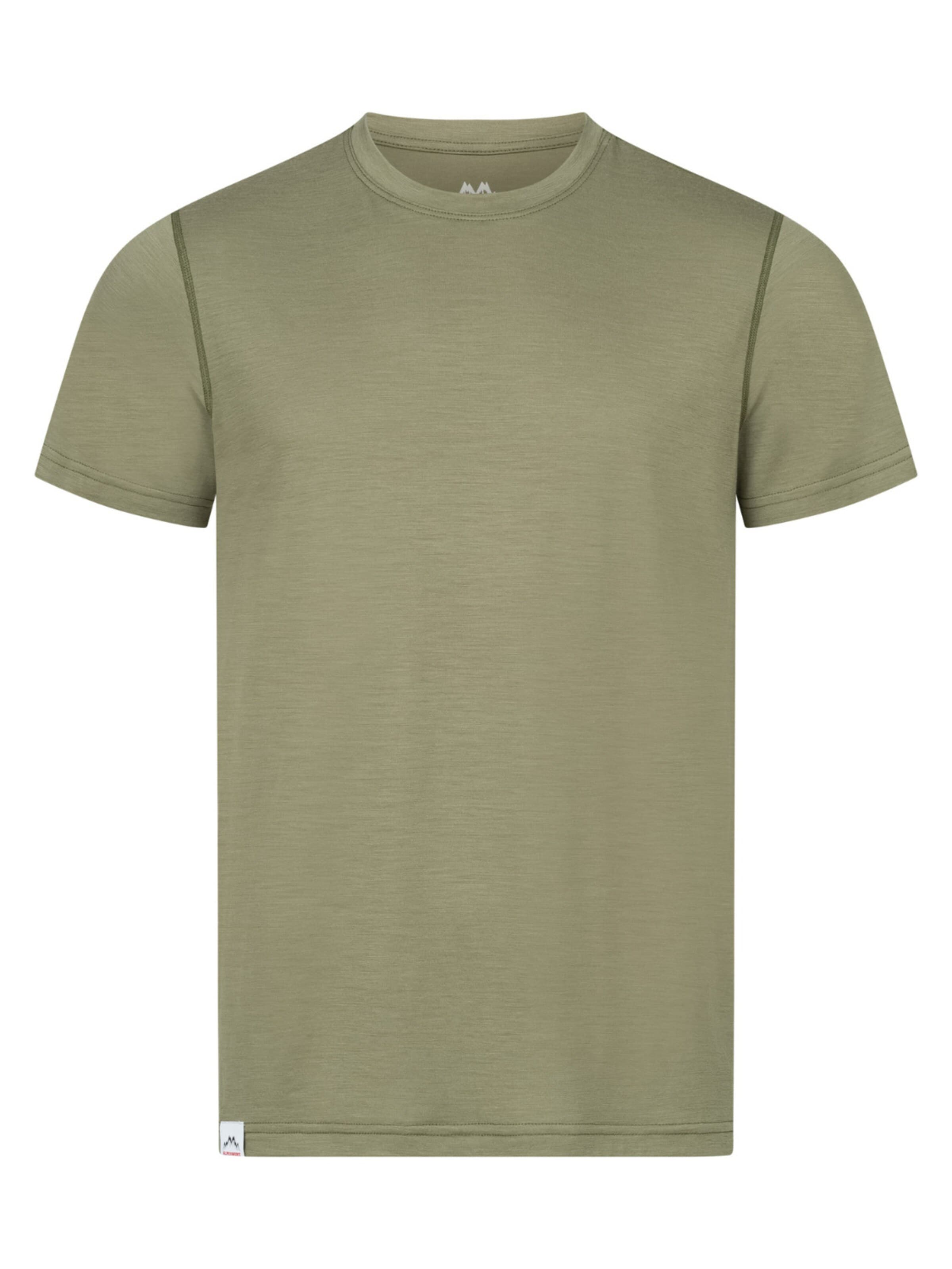 Alpenwert Shirt 'T-Shirt Herren Merino' in Green: front