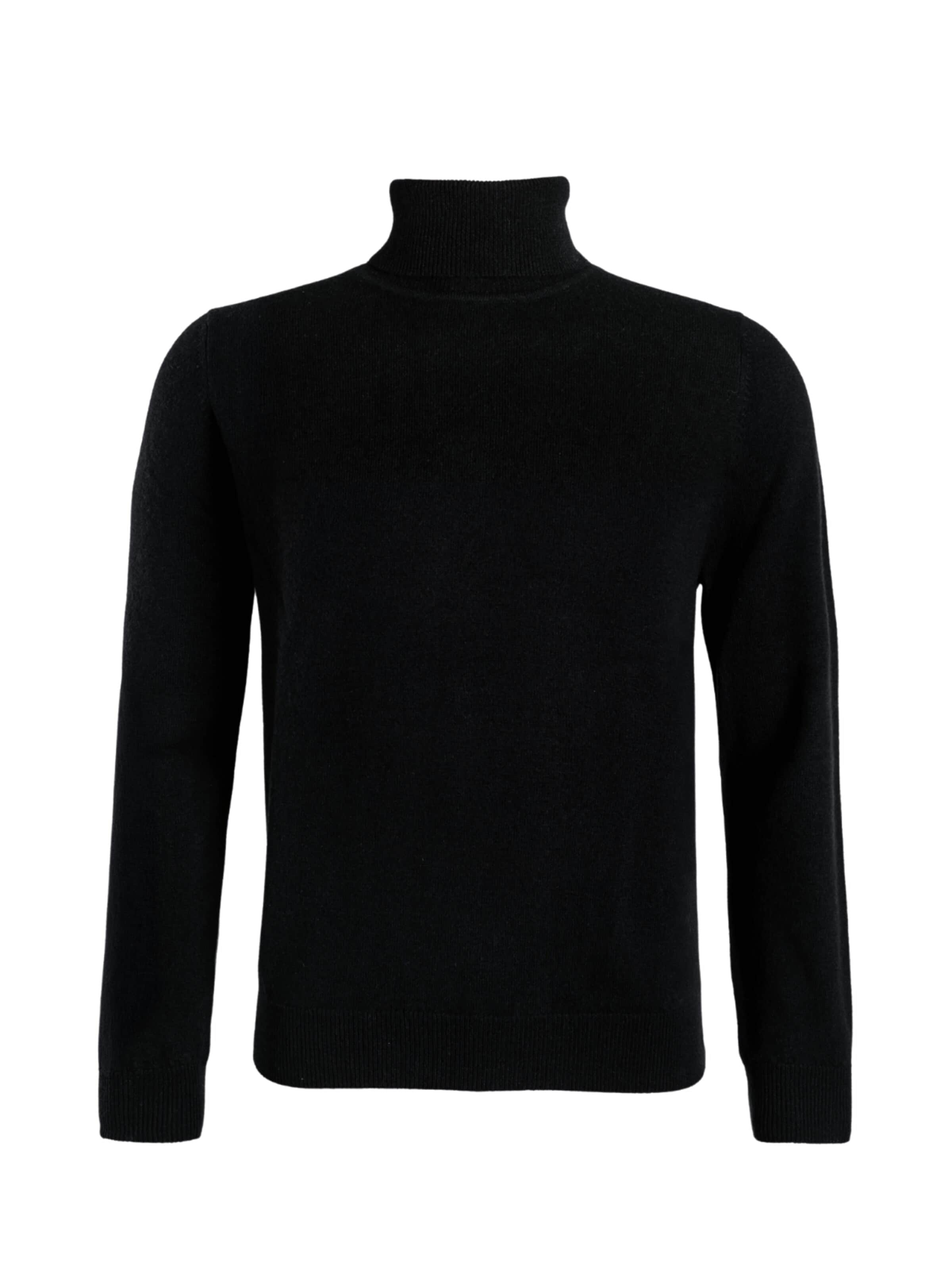 DELGER Pullover‌‌‌ in Schwarz: Vorderseite