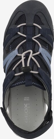 Sandales de randonnée 'Sand Strel' GEOX en bleu
