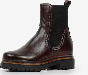 MJUS Chelsea Boots 'Degna' in Braun: Vorderseite