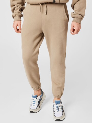 Ocay Tapered Pants in Brown: front