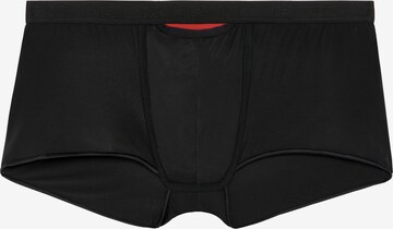 HOM Boxershorts 'Plume Up HO1' in Schwarz: predná strana