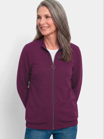 Goldner Between-season jacket in Purple: front
