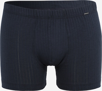 SCHIESSER Boxer shorts in Blue: front