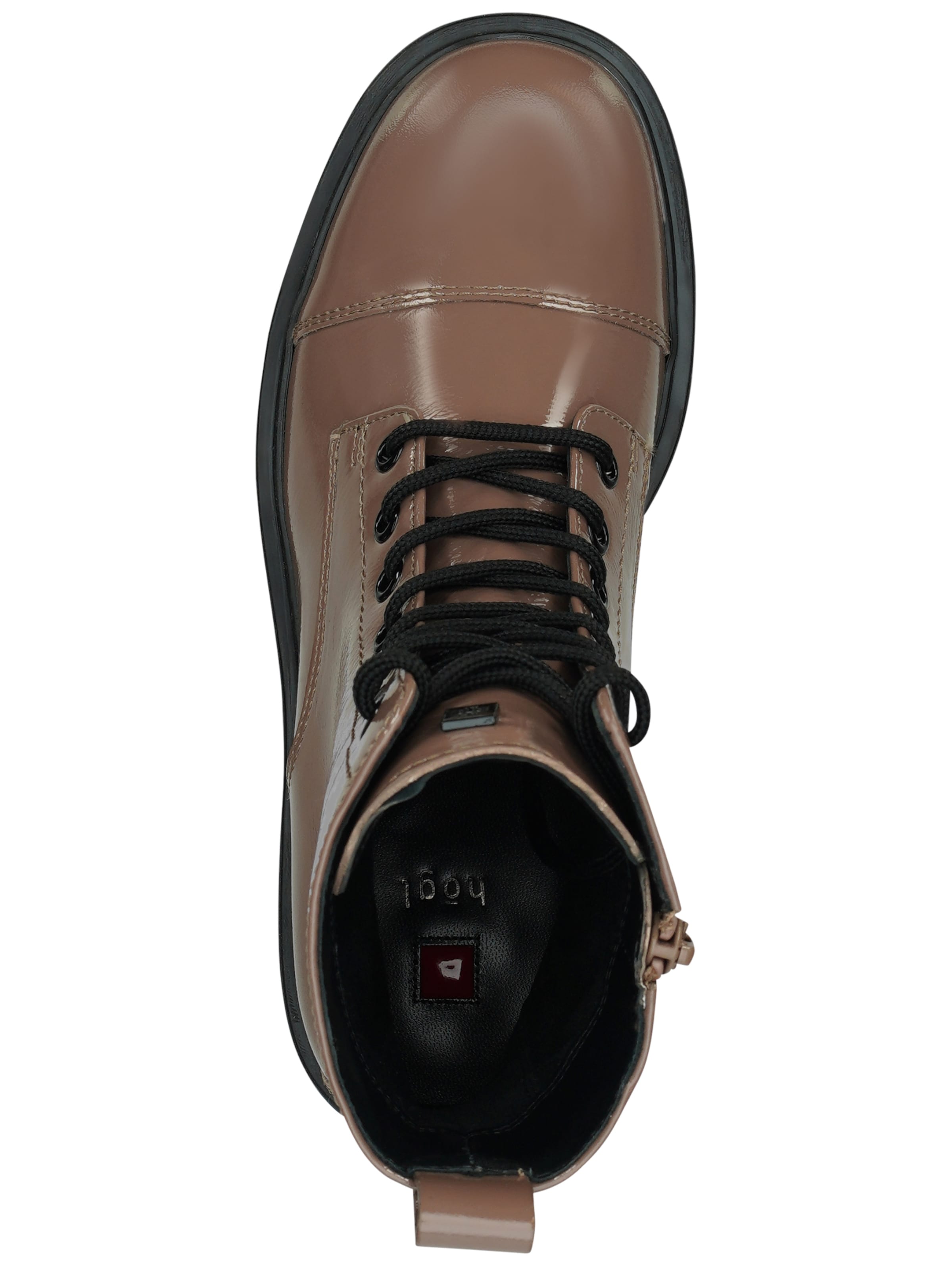 Högl Schnürstiefelette 'Bonnie' in Grau