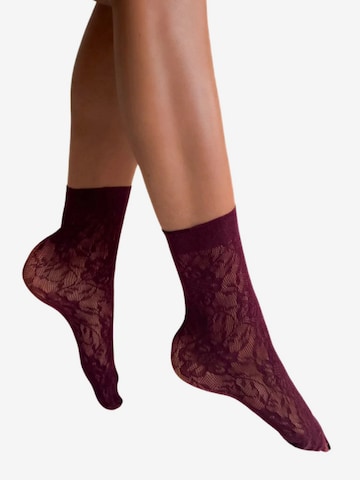 Sokisahtel Socks 'ROSA STILE sheer socks' in Red: front