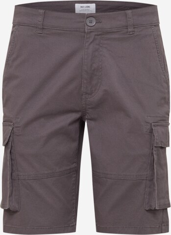 Regular Pantalon cargo 'Cam Stage' Only & Sons en marron : devant