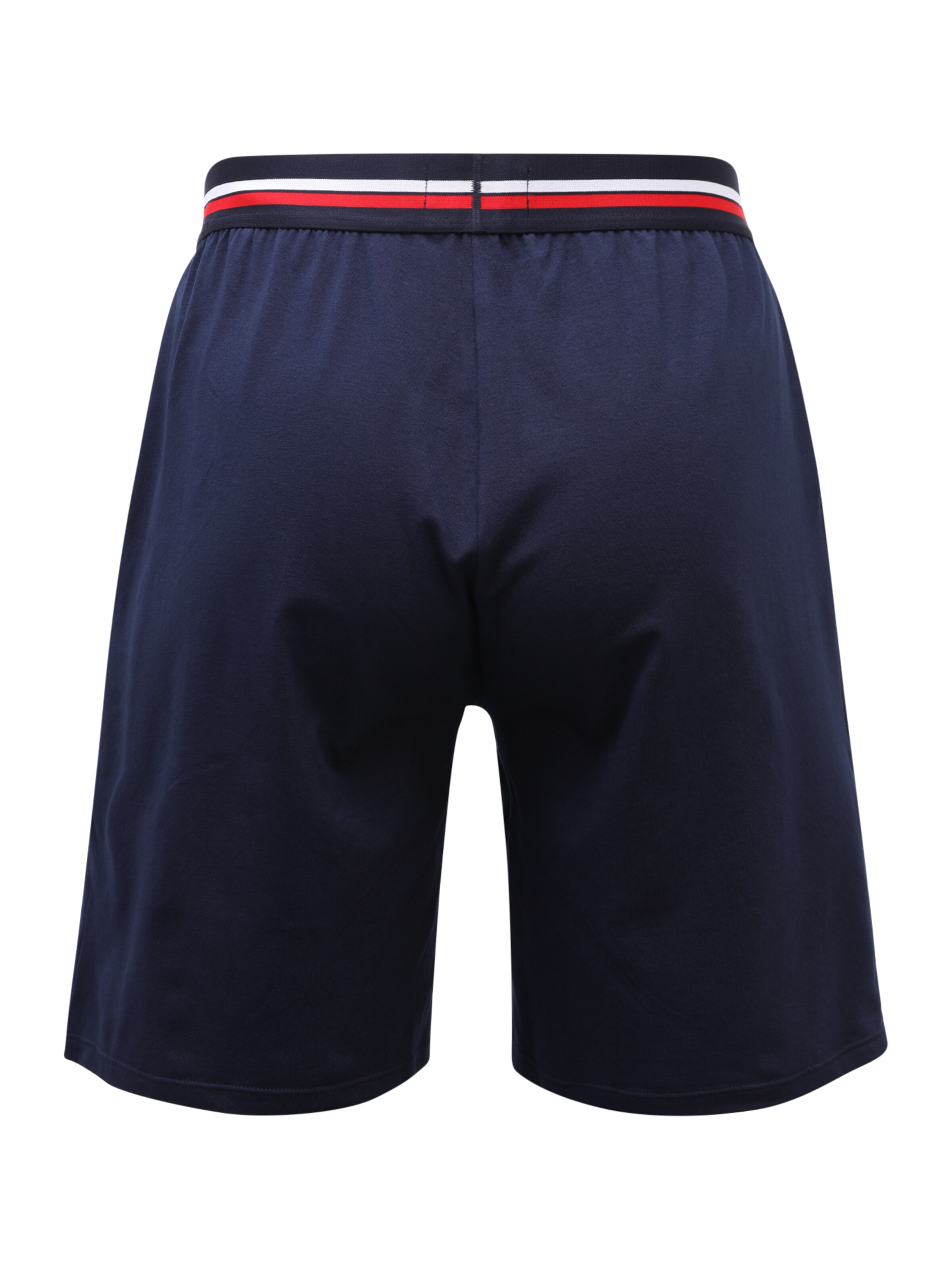 LACOSTE Boxer shorts in Blue