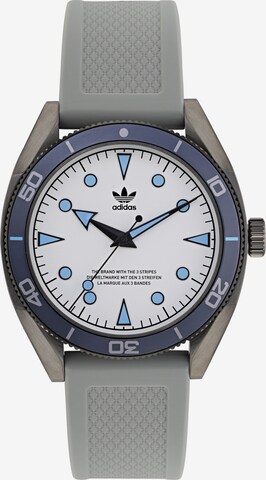 ADIDAS ORIGINALS Analoog horloge ' Ao Fashion Edition Two ' in Grijs: voorkant