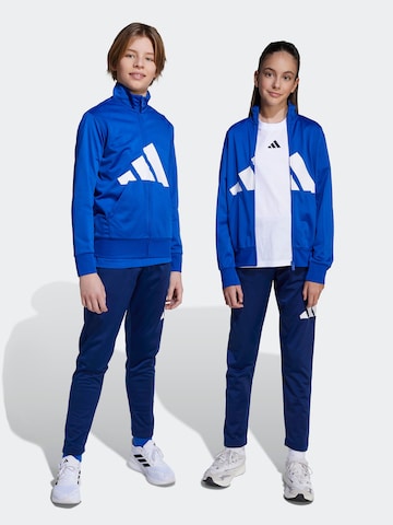ADIDAS SPORTSWEAR Тренировочный костюм 'Essentials' в Синий: спереди